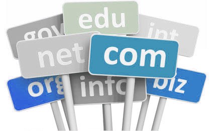 Domain Top Level Domains